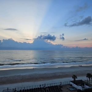 Meet your Posher, Elaine